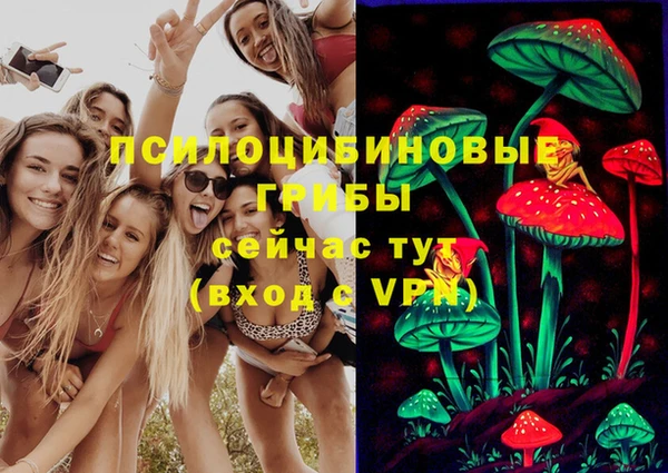 а пвп мука Тобольск
