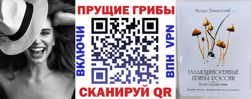 Псилоцибиновые грибы Cubensis  наркотики  Фатеж 